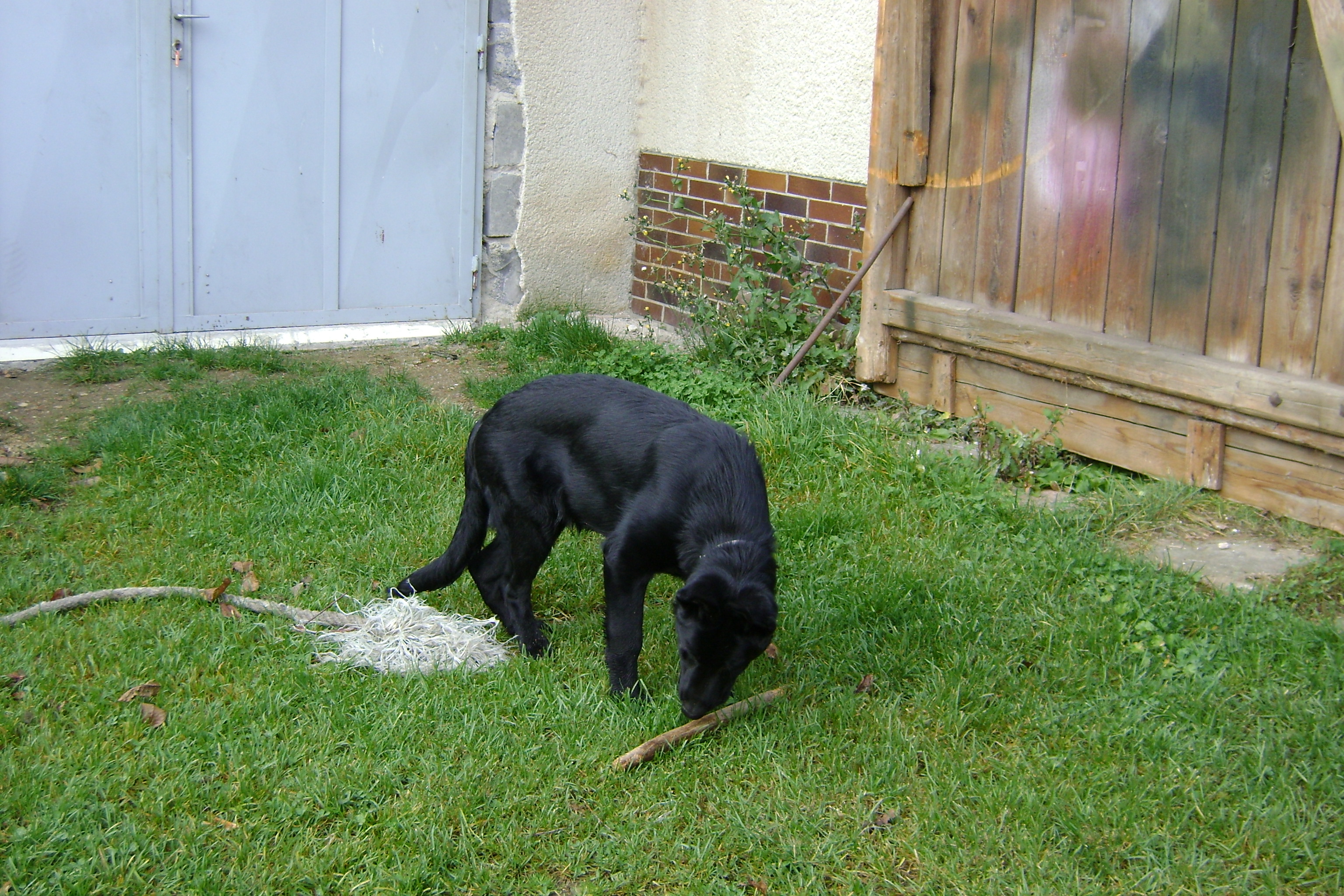DSC01269