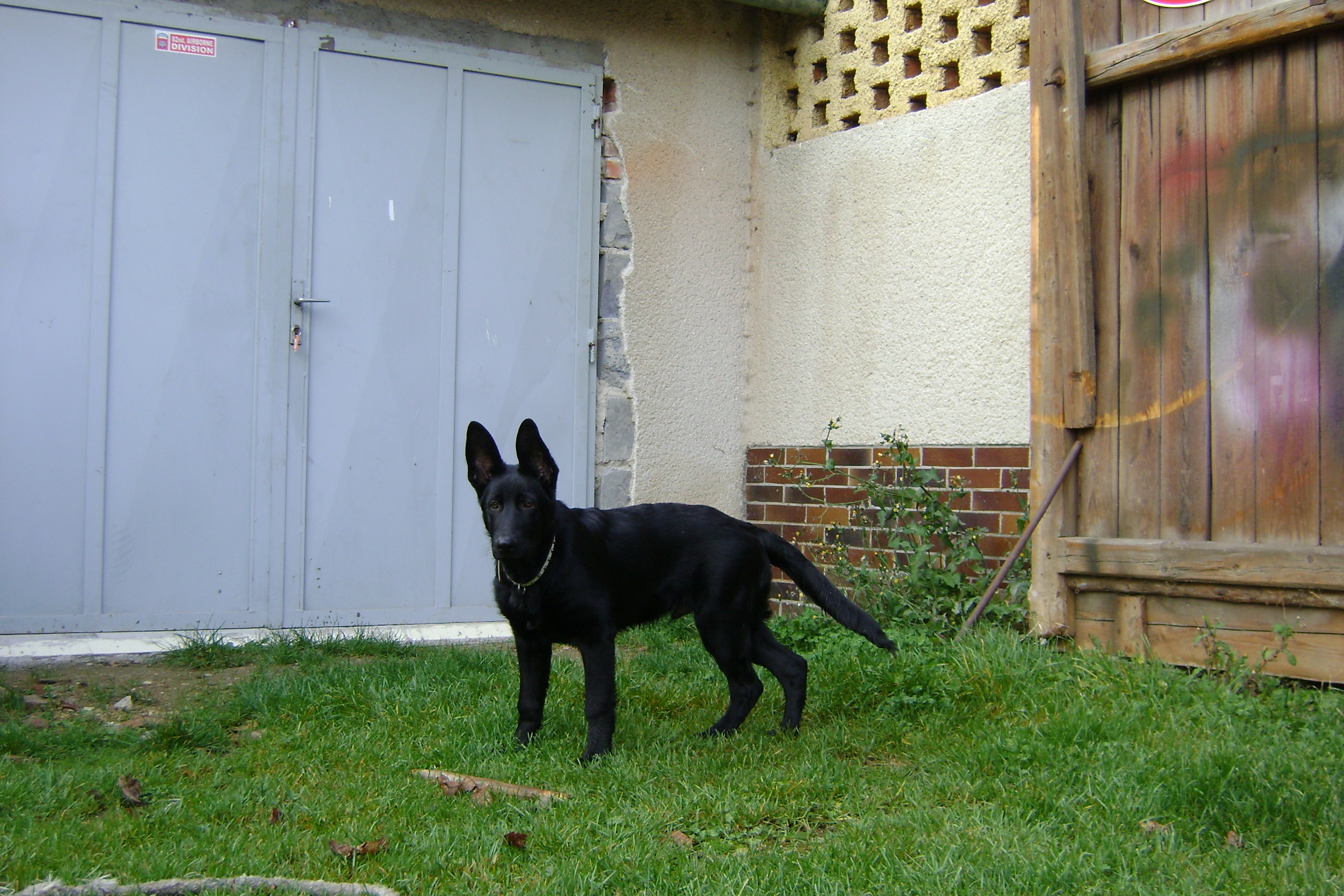 DSC01271