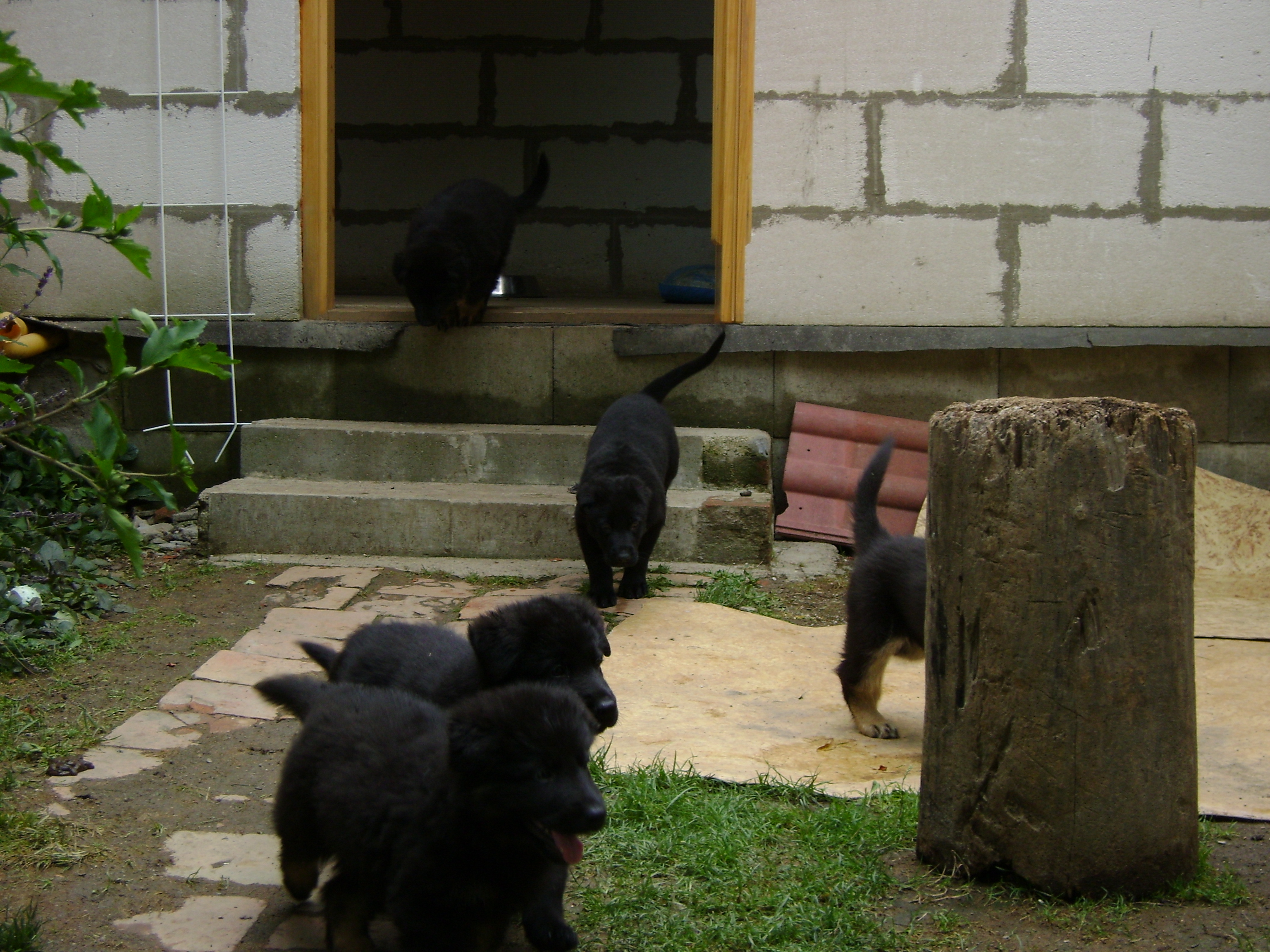 DSC01121
