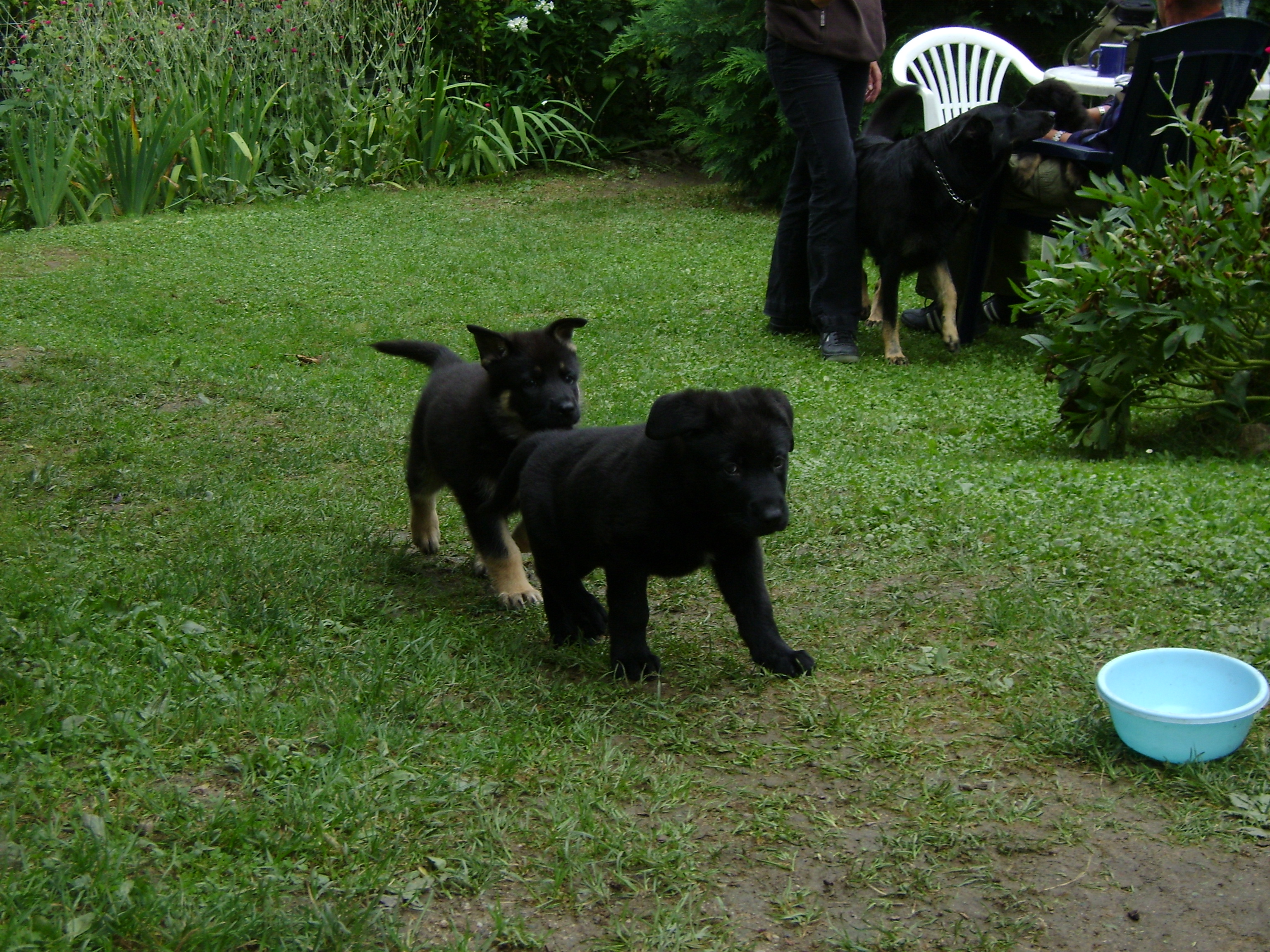 DSC01122