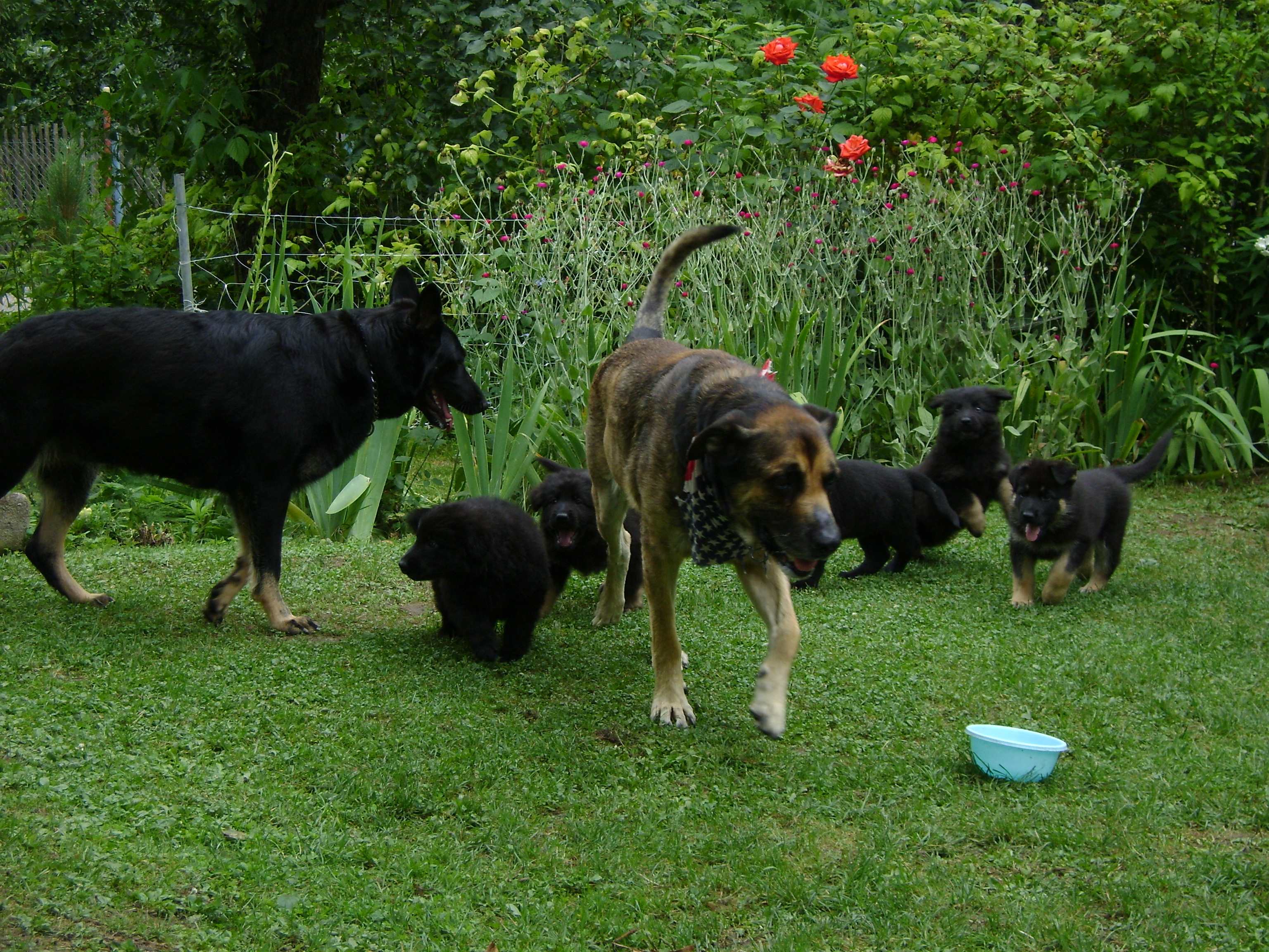DSC01126