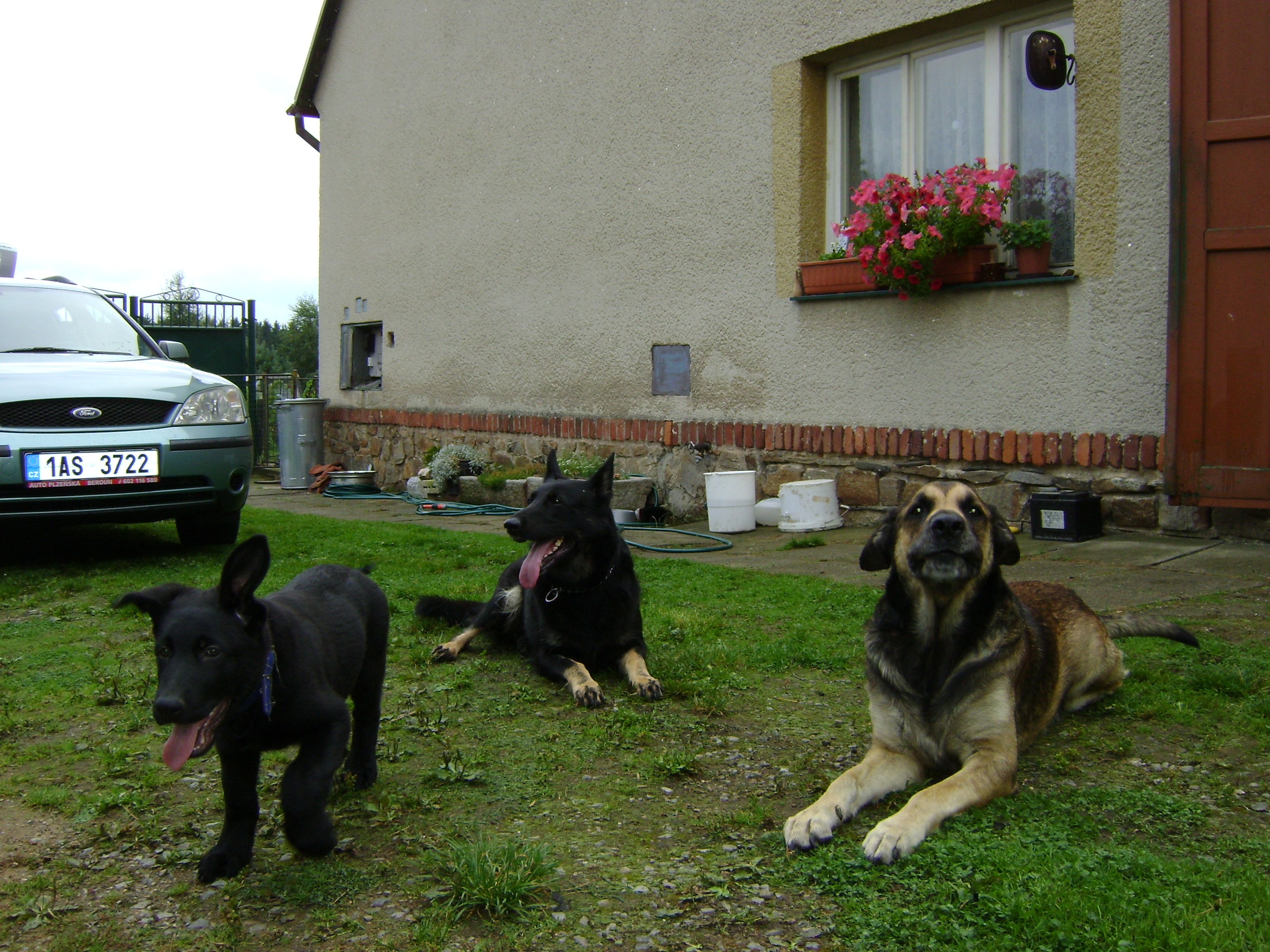 DSC01199