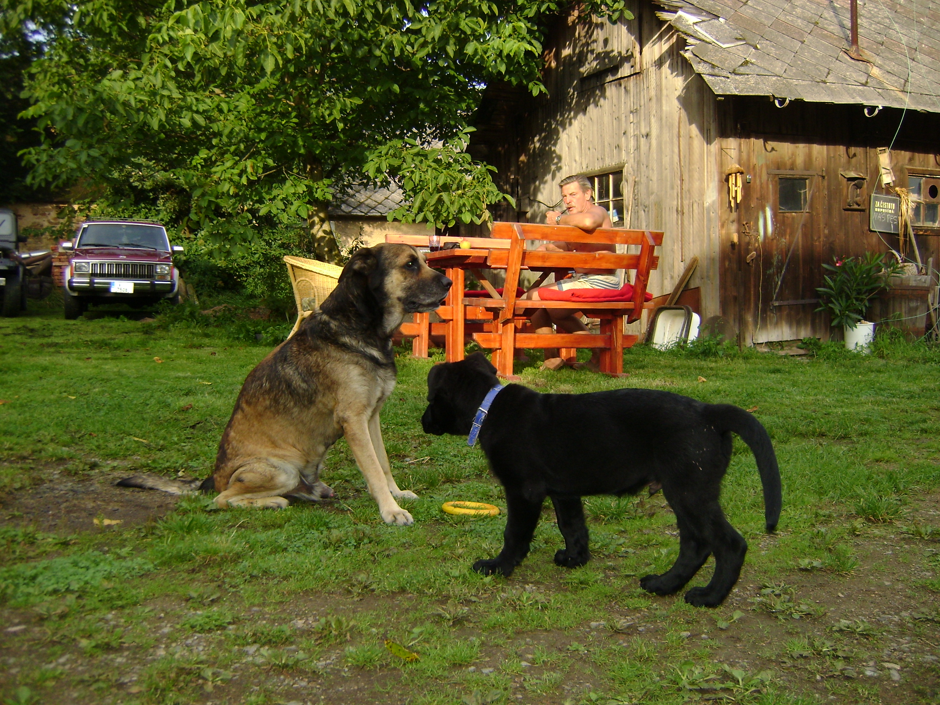 DSC01205