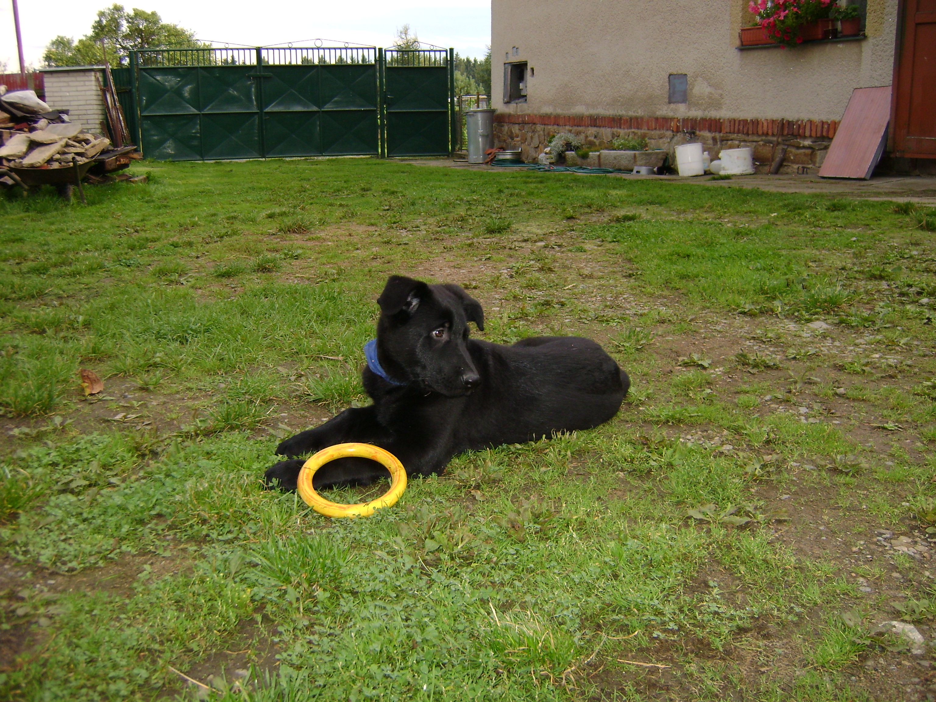 DSC01206