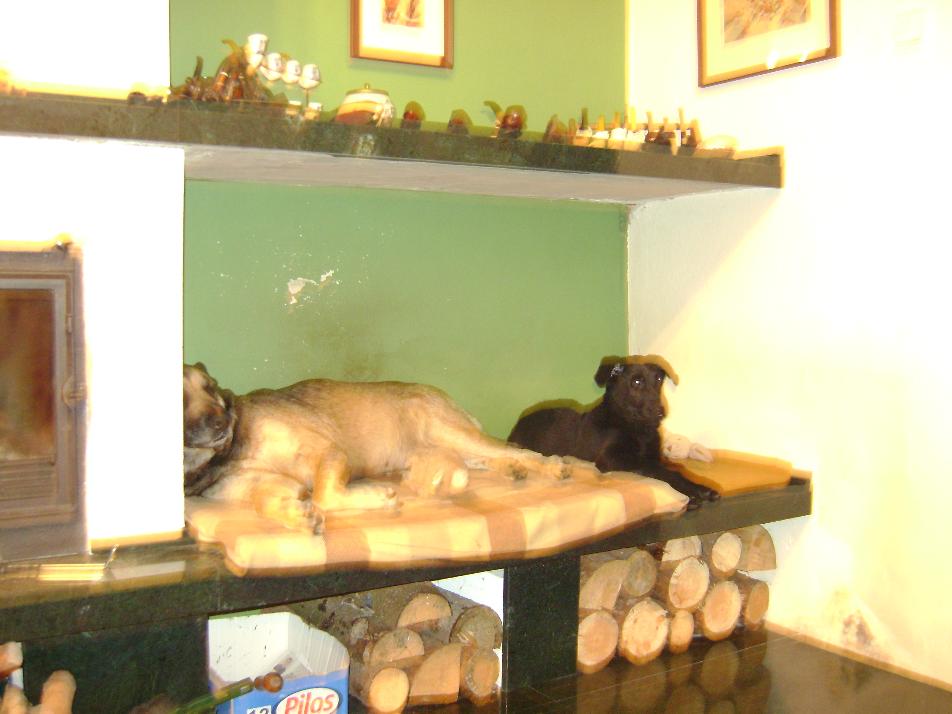 DSC01211